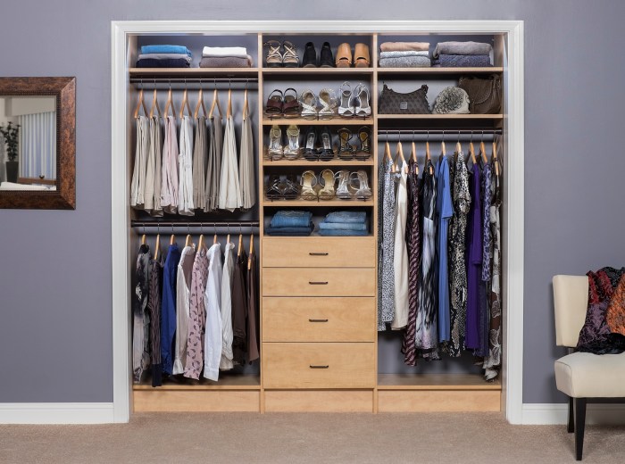 Bedroom closet design ideas