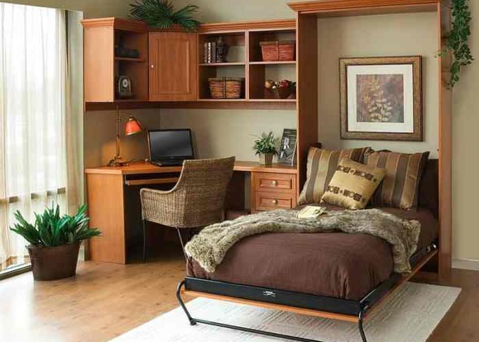 Home Office and Guest Bedroom Design