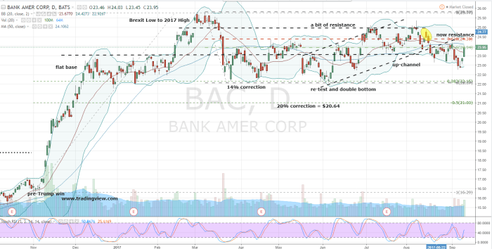 Bac stock price chart