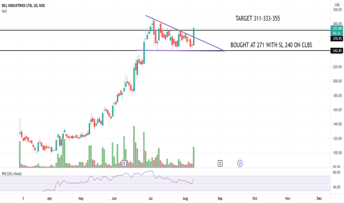 Bcli stock price