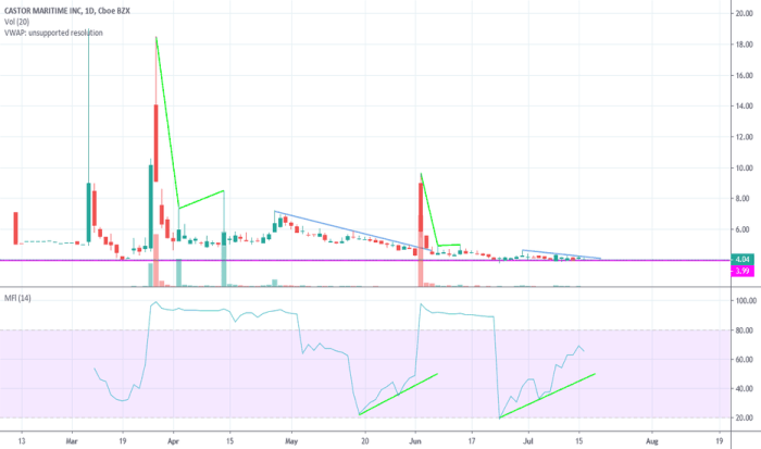 Ctrm stock price