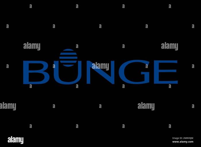 Bunge limited stock price