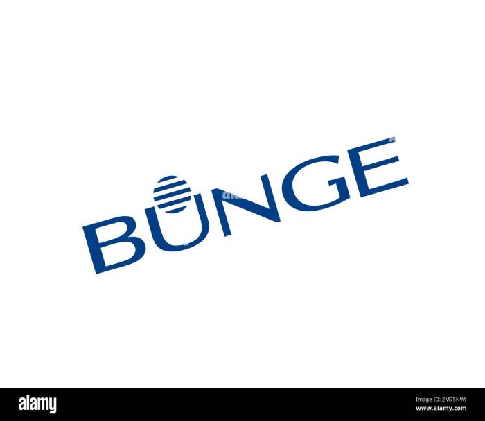 Bunge limited stock price