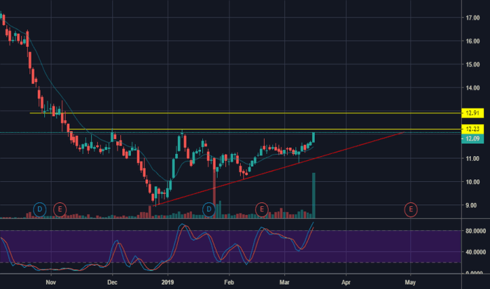 ENLC Stock Price A Comprehensive Analysis