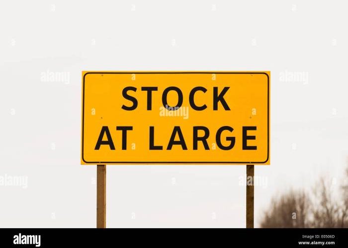 Big Lot Stock Price A Comprehensive Analysis