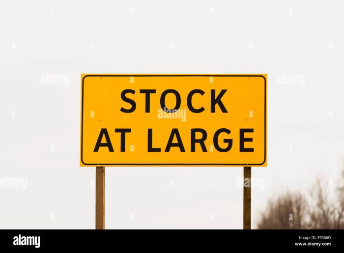 Big lot stock price