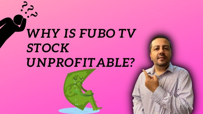 Fubotv stock price target